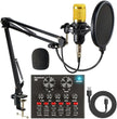 Kit Microphone à Condensateur Professionnel avec Carte Son – Ensemble Complet pour Enregistrement, Streaming et Podcast