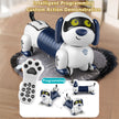 Robot Chien Télécommandé pour Enfants avec Lumières & Musique