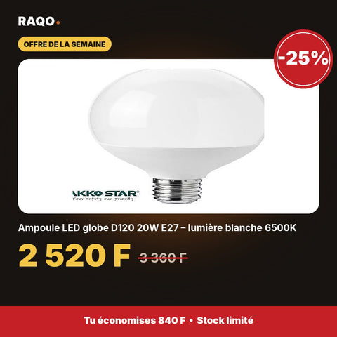 Ampoule LED globe D120 20W E27 – lumière blanche 6500K | Akko Star - RAQO
