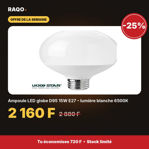 Ampoule LED globe D95 15W E27 – lumière blanche 6500K | Akko Star - RAQO