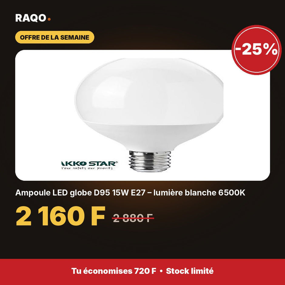Ampoule LED globe D95 15W E27 – lumière blanche 6500K | Akko Star - RAQO