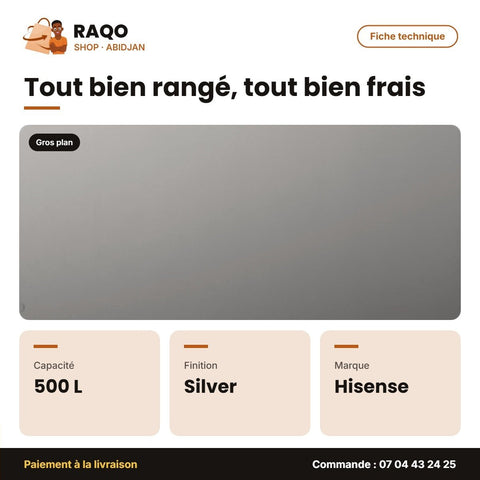 Congélateur Horizontal Hisense 500L Silver – 2 Portes – 3 Paniers Internes | FC-66DD4HA - RAQO