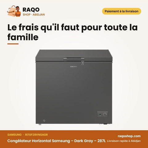 Congélateur Horizontal Samsung 287 L avec 2 Paniers – RI70F29VNGAGR - RAQO