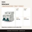 Disjoncteur modulaire sur rail 2 pôles 63A | Akko Star - RAQO