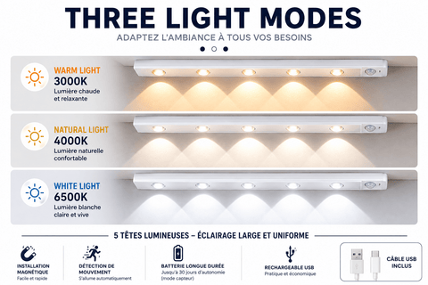 Lampe capteur mouvement 3 modes - RAQO