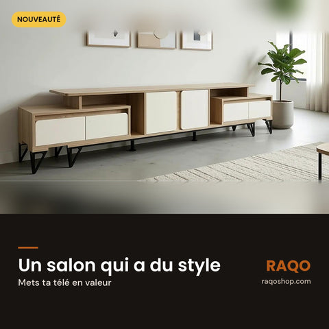 Meuble TV TV-ZY160 pour votre salon - RAQO
