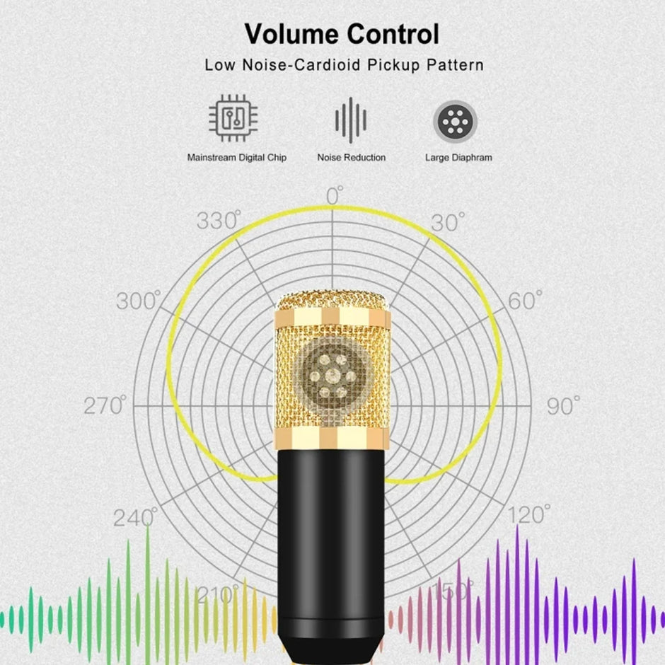Kit Microphone à Condensateur Professionnel avec Carte Son – Ensemble Complet pour Enregistrement, Streaming et Podcast