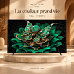 RAQO SHOP — TCL 115C7K — photo 1 — La couleur prend vie