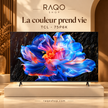 RAQO SHOP — TCL 75P6K — photo 1 — La couleur prend vie