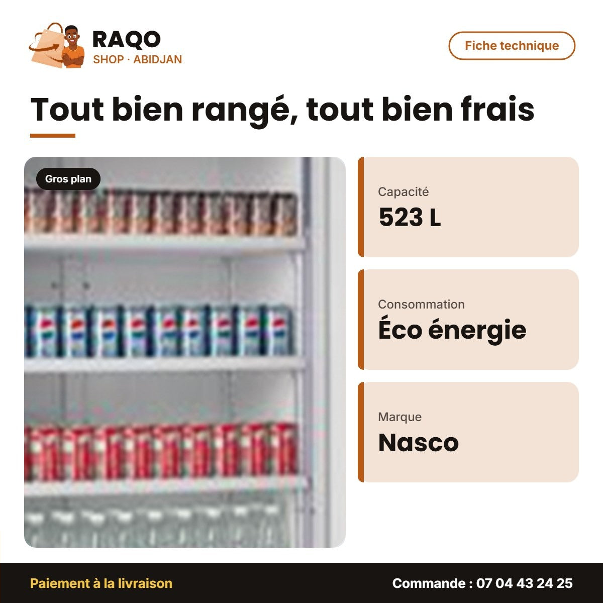 Refroidisseur Vertical Nasco – 1 Porte – Éco. D'energie – 523L Net | NAS-650-1DR