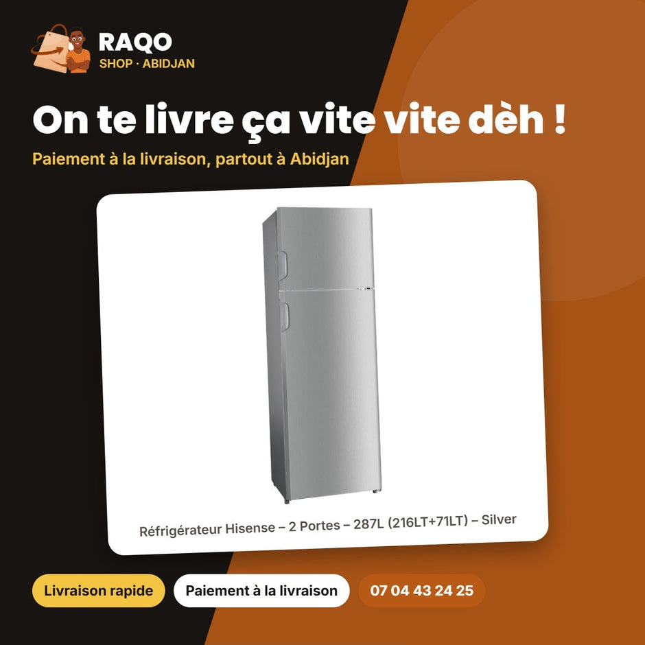 Réfrigérateur Hisense – 2 Portes – 287L (216LT+71LT) – Silver | RD-39DR4SG