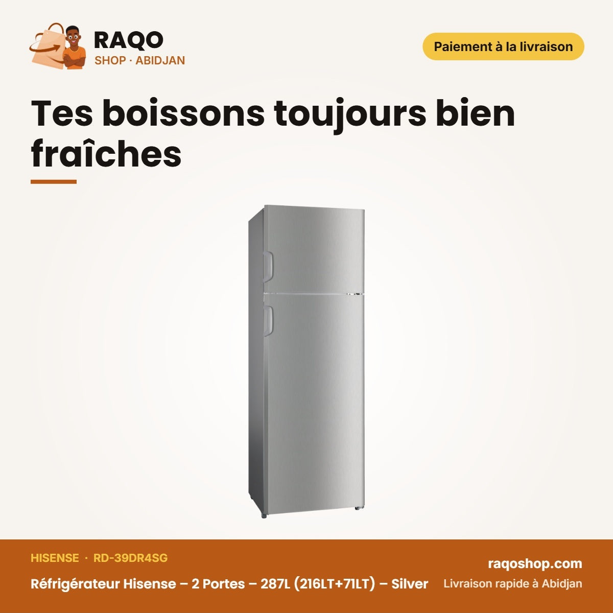 Réfrigérateur Hisense – 2 Portes – 287L (216LT+71LT) – Silver | RD-39DR4SG