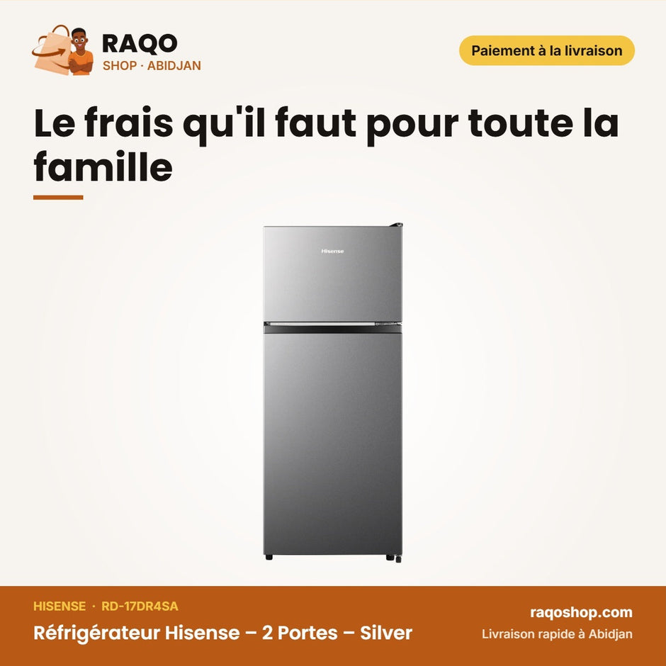 Réfrigérateur Hisense – 2 Portes – Silver | RD-17DR4SA