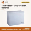 Congélateur Horizontal Nasco Silver 290L – 1 Porte – 1 Panier à L'interieur – Clé | KNAS-400