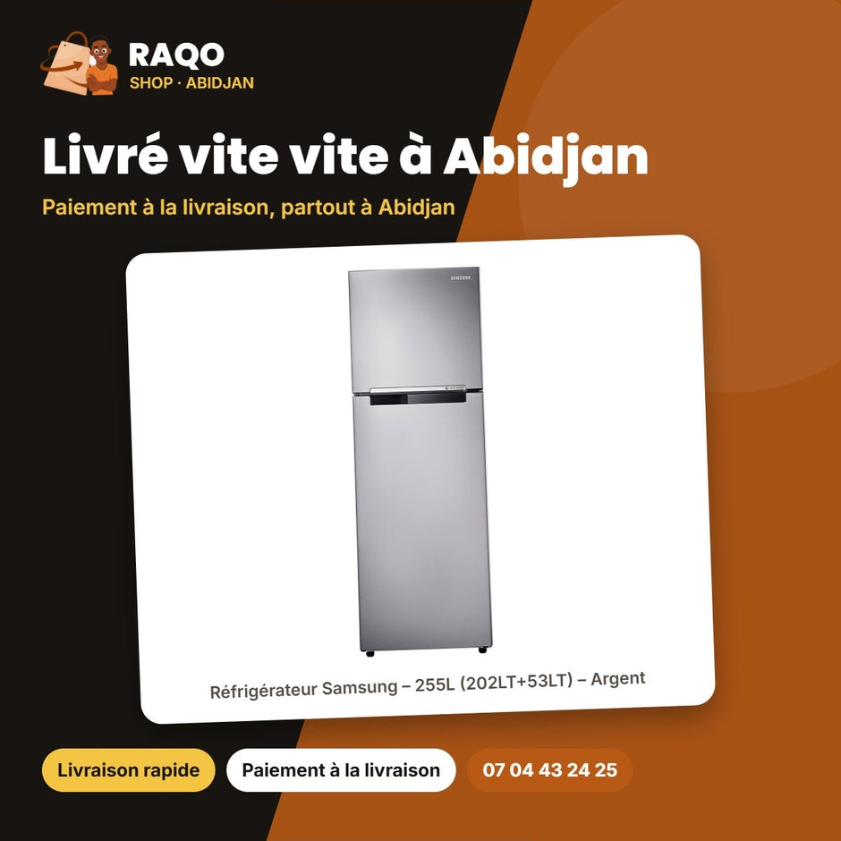 Réfrigérateur Samsung – 255L (202LT+53LT) – Argent | RT25HAR4DSA/GH