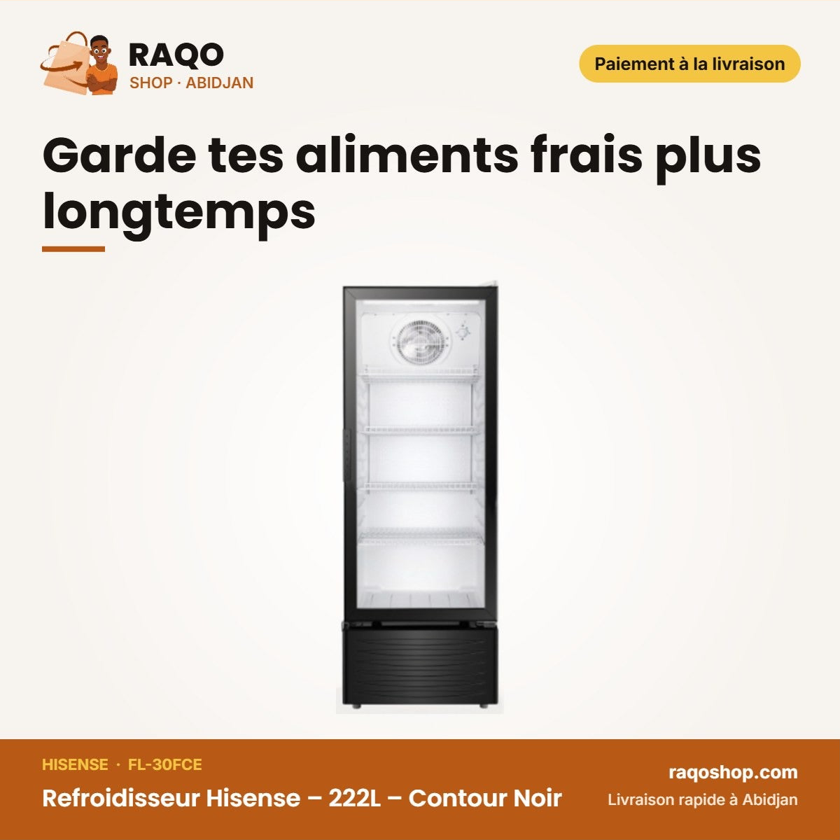 Refroidisseur Hisense – 222L – Contour Noir | FL-30FCE