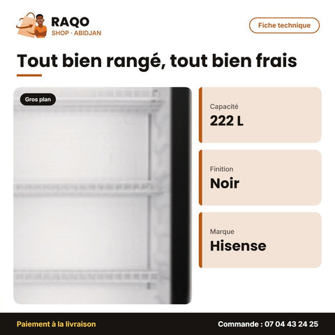 Refroidisseur Hisense – 222L – Contour Noir | FL-30FCE