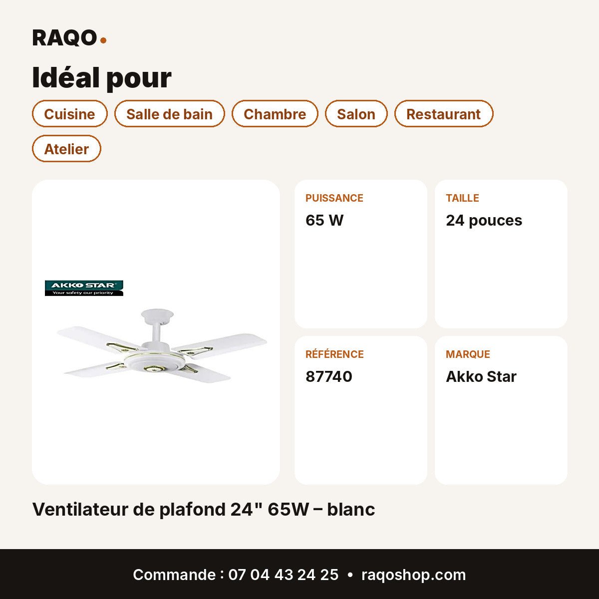 Ventilateur de plafond 24