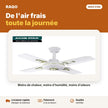 Ventilateur de plafond 24