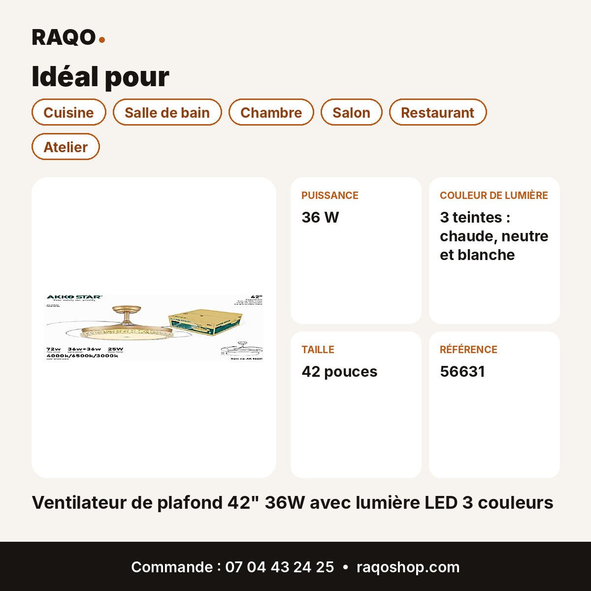 Ventilateur de plafond 42