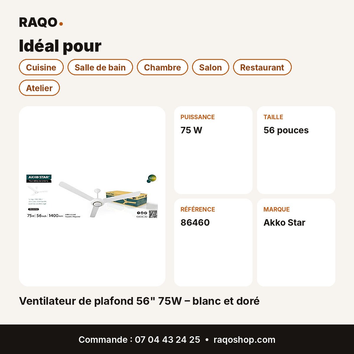 Ventilateur de plafond 56
